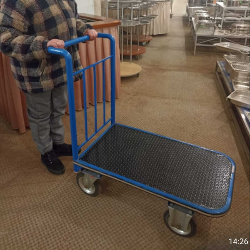 Візок вантажний, ручний. Вантажність 200 - 700 кг